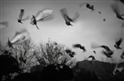 dailyPhoto30